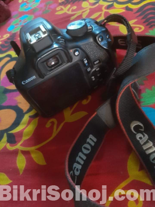 Canon Camera